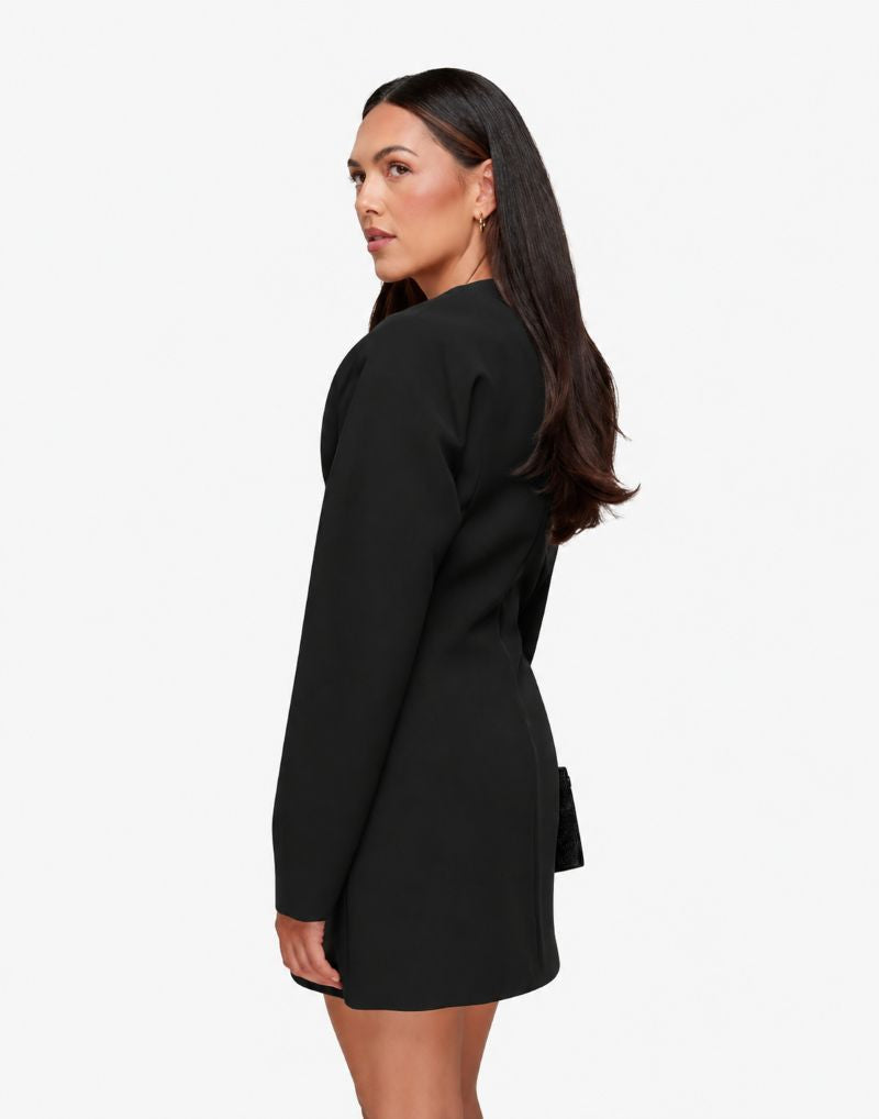 Regular Balloon-Sleeve Long-Sleeve Dress